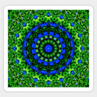 Falmouth-Blue Wildflowers  Kaleidoscope Sticker